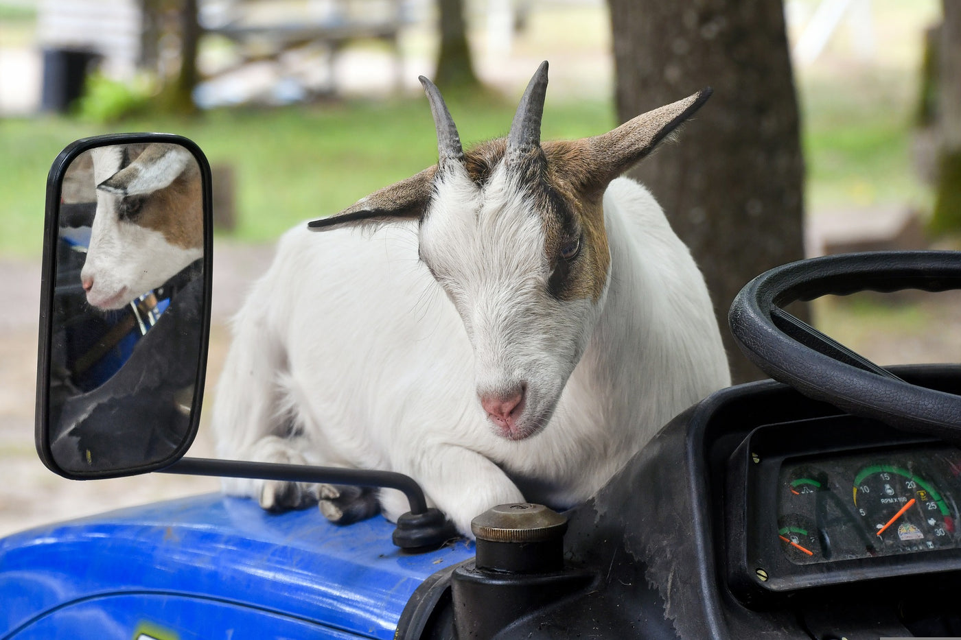 Who owns your tractor?