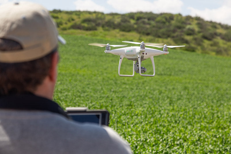 Drones in Agriculture: Revolutionizing Farming
